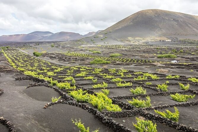 Lanzarote Excursions