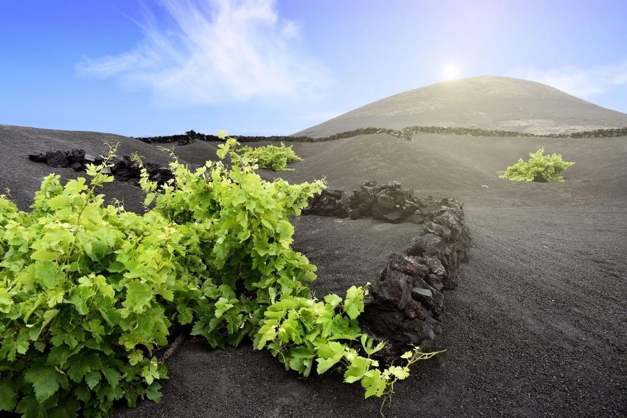 lanzarote-volcano-short-south-tour_2_L